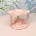 5-Slot Makeup Desk Organizer