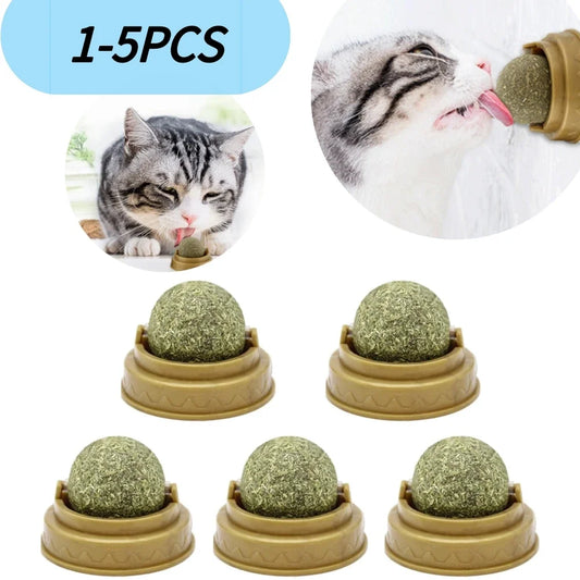 Catnip Snack Ball for Cats