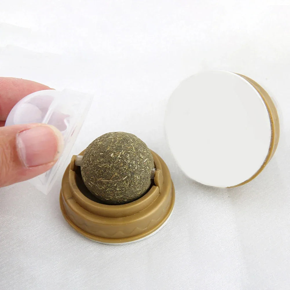 Catnip Snack Ball for Cats