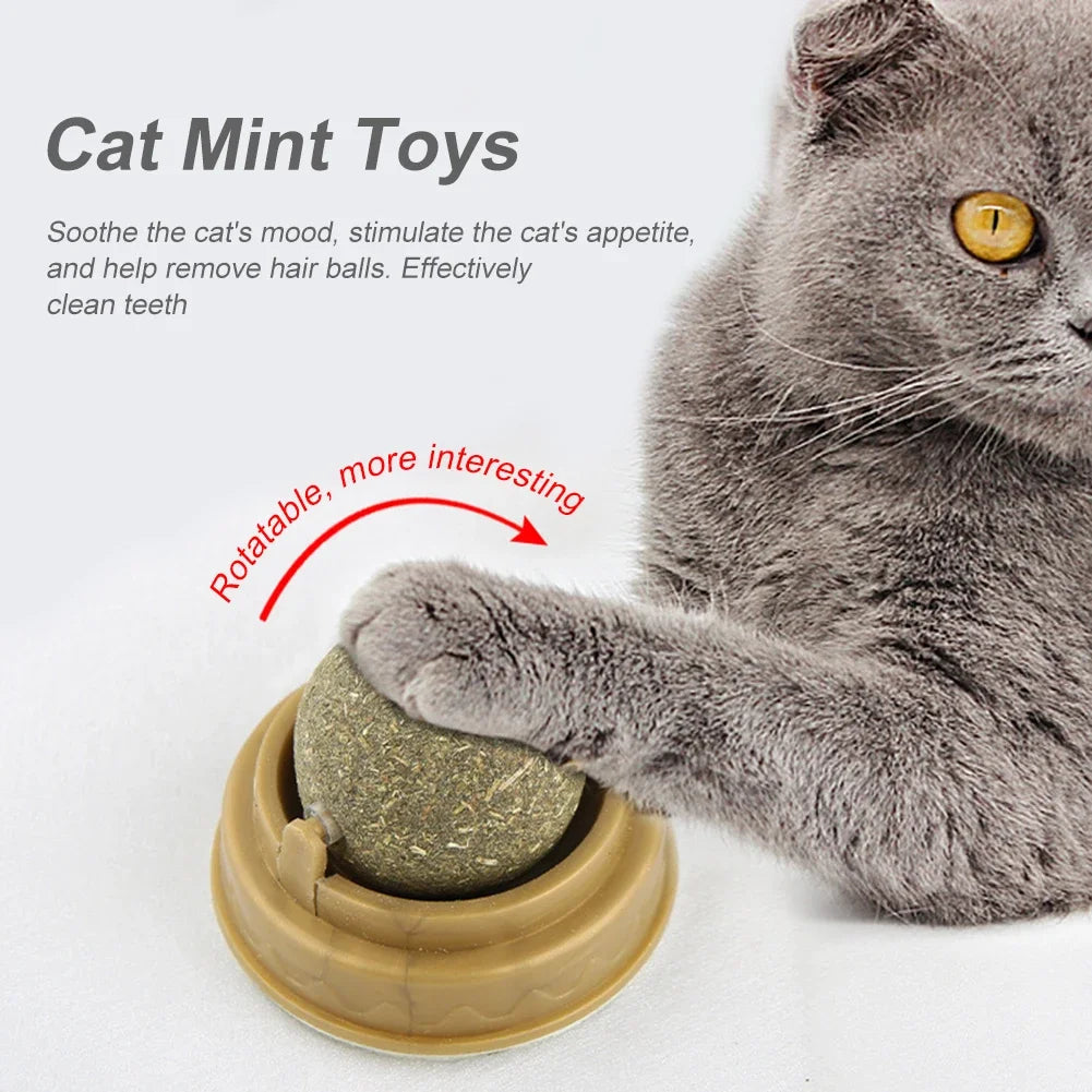 Catnip Snack Ball for Cats