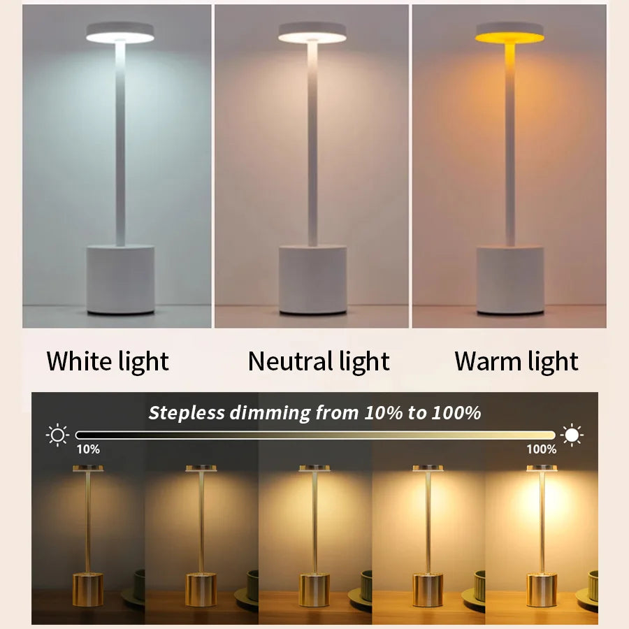 Rechargeable Elegant Desk Lamp