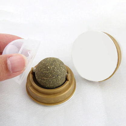 Catnip Snack Ball for Cats